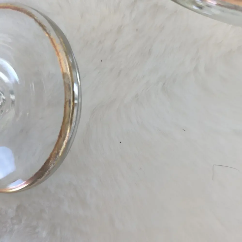 J Preziosi Lavorato A Mano Italy Wine/Water Glass Gold Trim 8.5